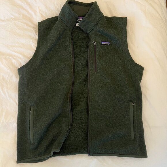 NWT patagonia vest - Picture 1 of 4
